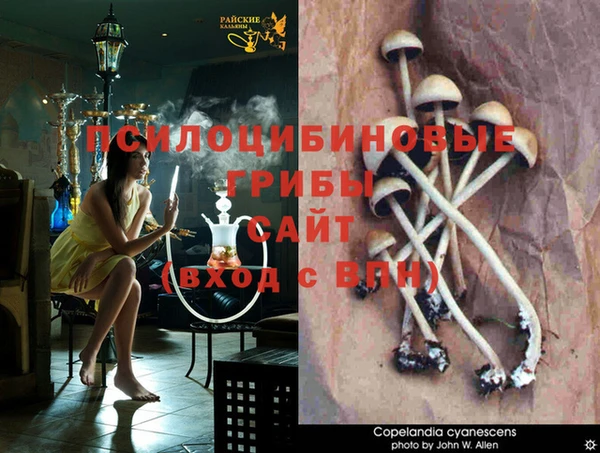 стафф Каменск-Шахтинский