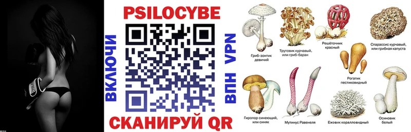 Купить  Иркутск  Псилоцибиновые грибы мухоморы 